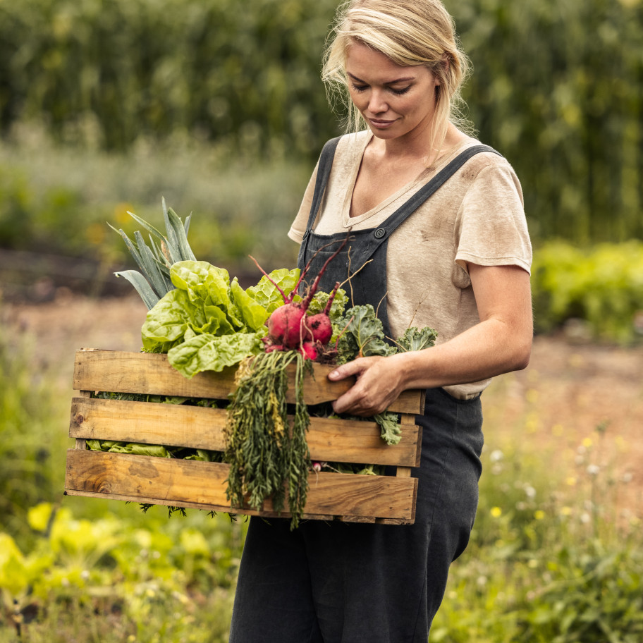 Landwirtschaftsumgebung, junge Frau bei der Gemüseernte auf einem Feld