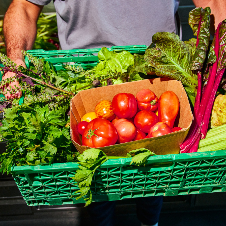 Kiste mit frischen Zutaten