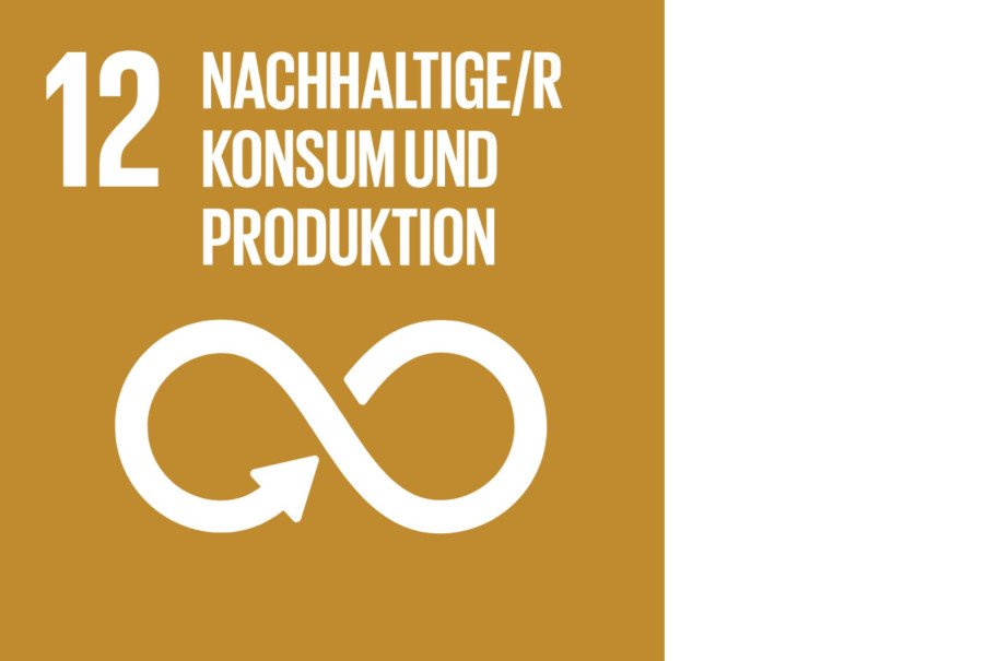 Symbol mit Unendlichkeit, Schrift mit Sdg 12