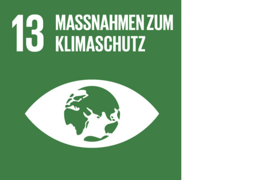 Symbol einer Weltkugel auf grünem Hintergrund, Schrift mit Sdg 13