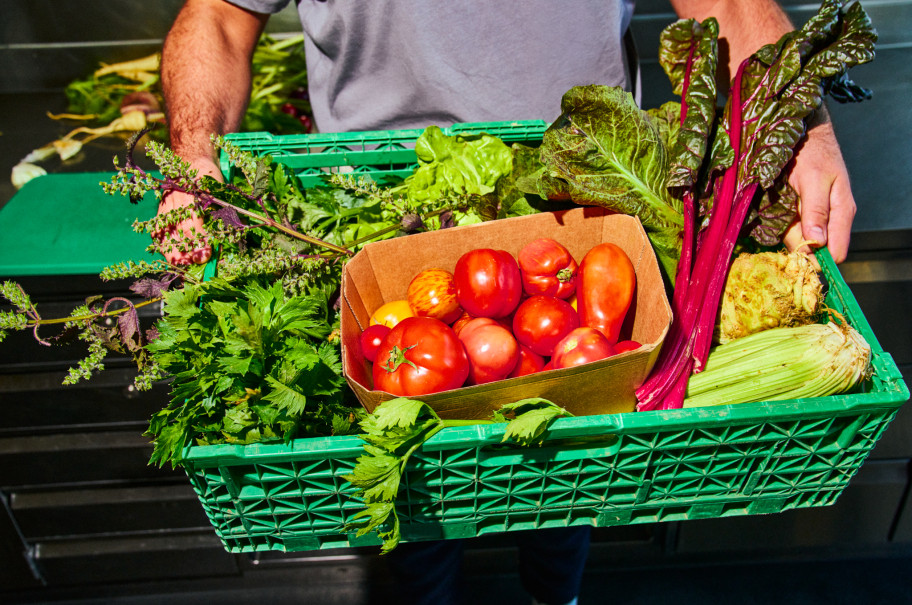 Kiste mit frischen Zutaten