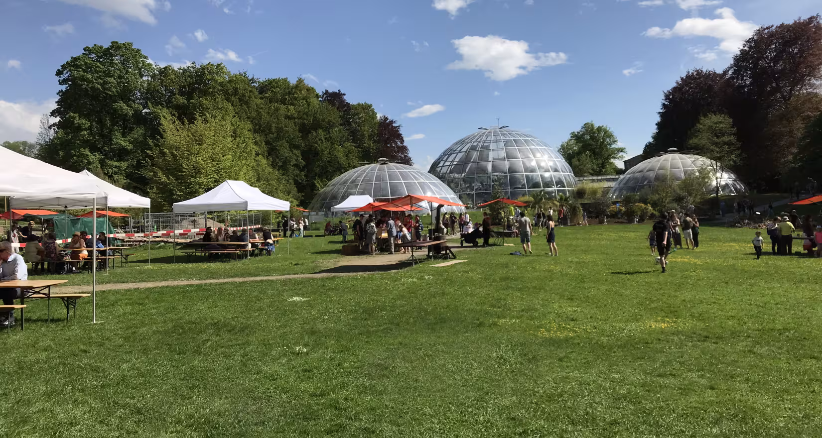 Aufnahme des botanischen Gartens in Zürich bei schönem Wetter