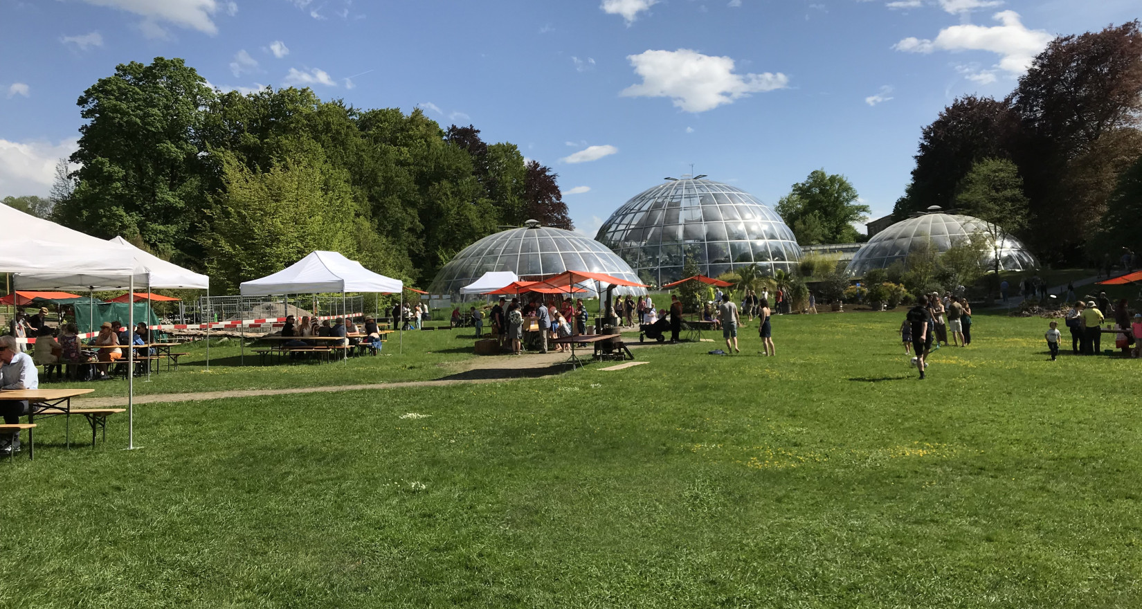 Aufnahme des botanischen Gartens in Zürich bei schönem Wetter