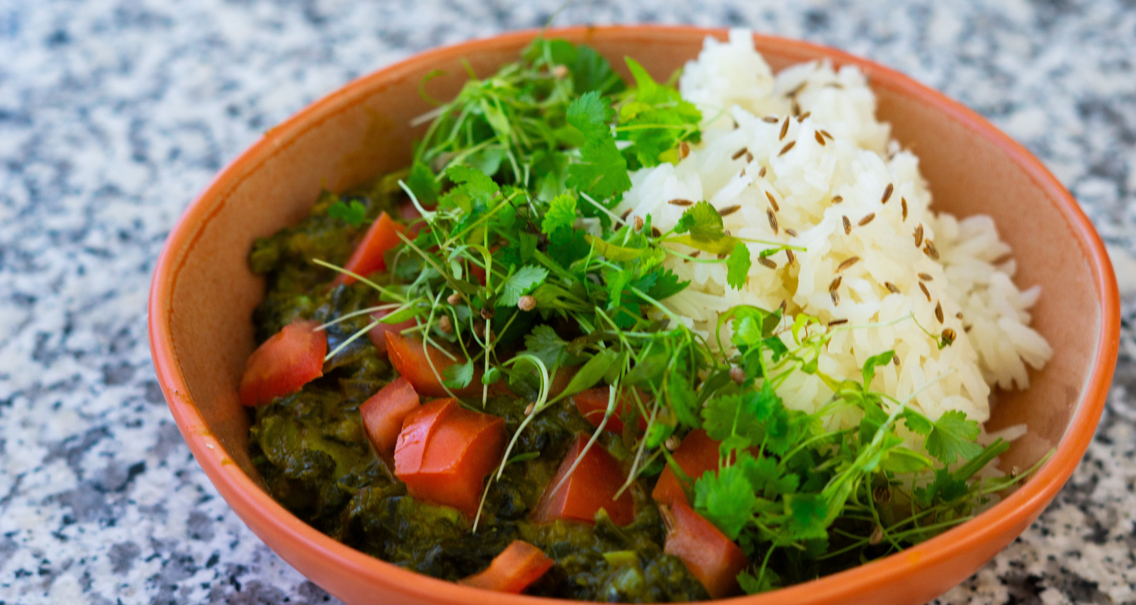 Bowl mit Reis und indischem Gericht