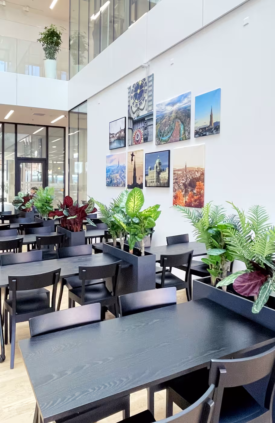Ansicht Sitzplätze im Restaurant Flavour Kitchen in Bern mit Pflanzen und Bildern an der Wand