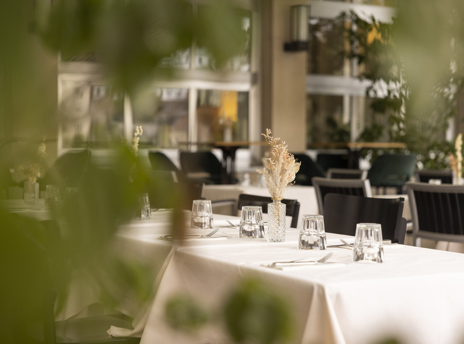 Terrasse begrünt mit schwarzen Stühlen, Hotel Merian