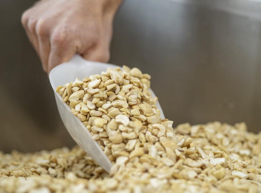 Männliche Hand schaufelt Cashewnüsse aus einem Bottich