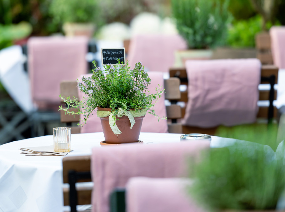 Aufnahme des Gartens vom Restaurant Enja