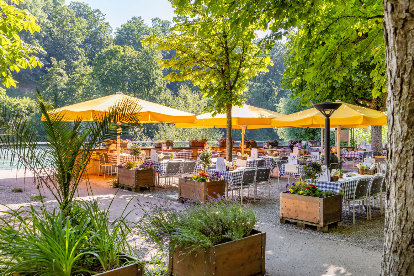 Sonnige Restaurantterrasse mit hohen Bäumen und gelben Sonnenschirmen