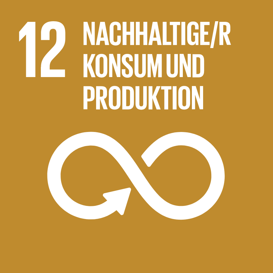Unendlichkeitszeichen vor beigen Hintergrund, weisse Schrift mit SDG12