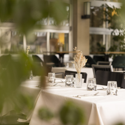 Terrasse begrünt mit schwarzen Stühlen, Hotel Merian