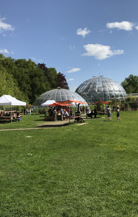Aufnahme des botanischen Gartens in Zürich bei schönem Wetter