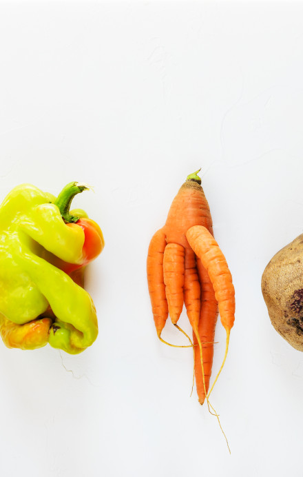 Tomate, Paprika, Karotten, Randen und Gurke