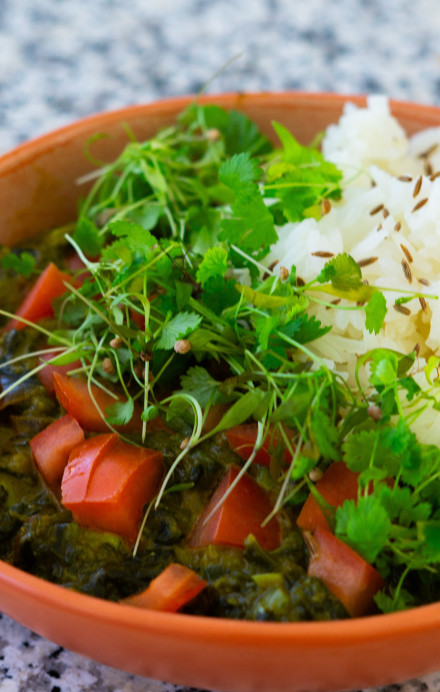 Bowl mit Reis und indischem Gericht
