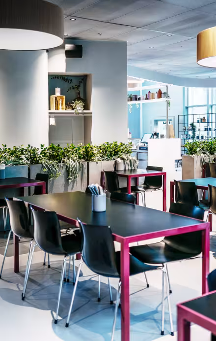 Innenansicht Flavour Kitchen Zürich 