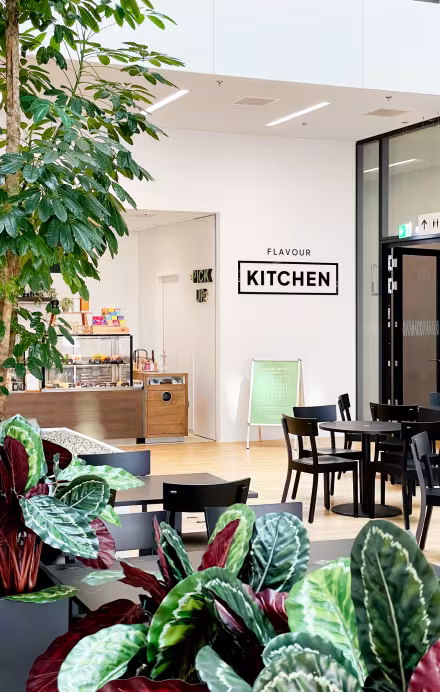Bild Innenansicht Restaurant Flavour Kitchen in Bern mit Tischen bunten Pflanzen im Vordergrund und Theke im Hintergrund